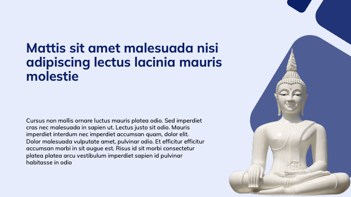 MellowForm Blue Professional slide 5